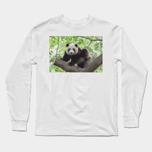 Panda Bear Sitting In Tree Long Sleeve T-Shirt
